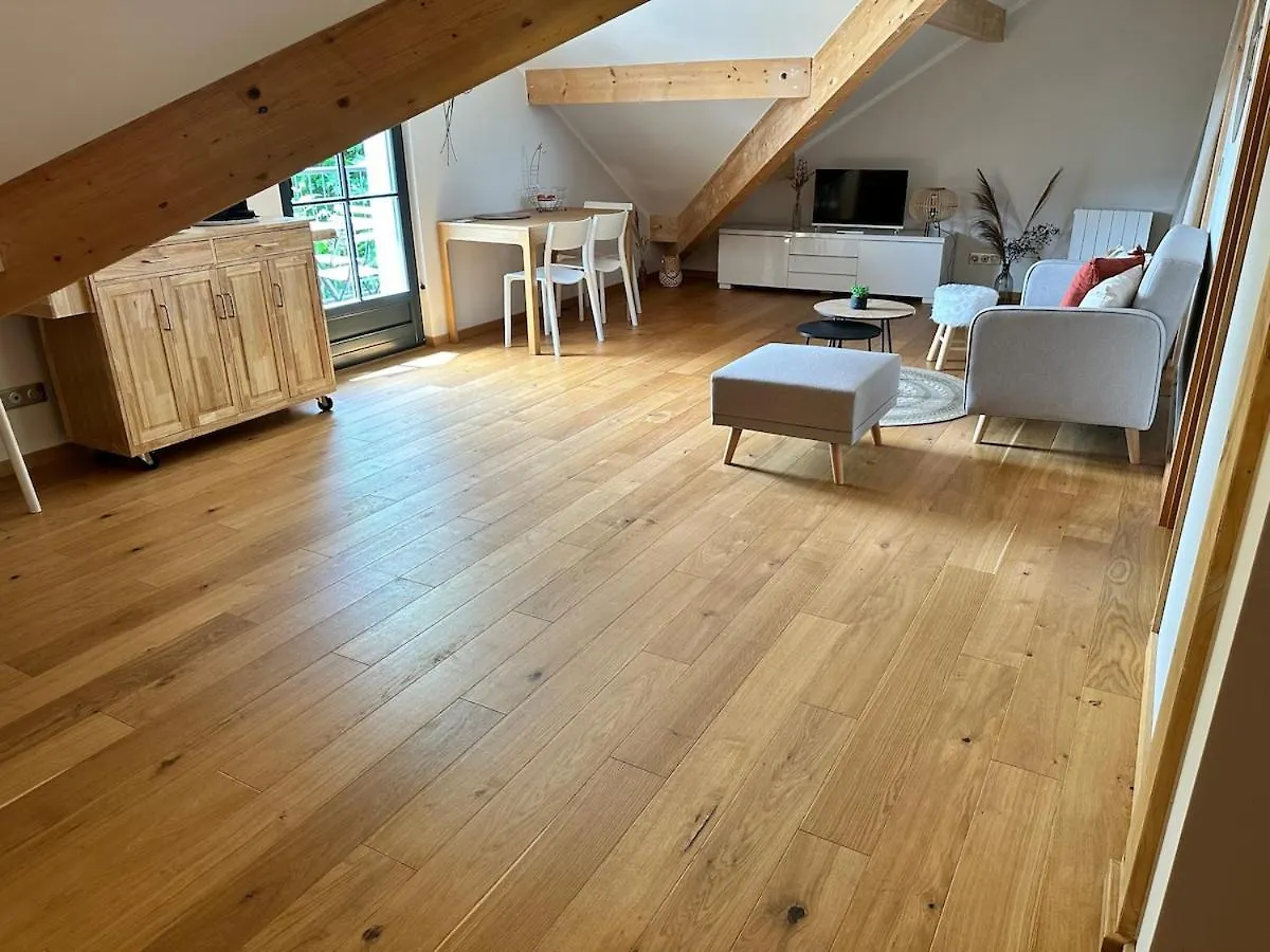 Appartement, 20M Du Lac Conjux, Vue Lac France